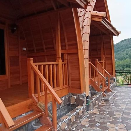 Giri Swari Homestay Сідемен Екстер'єр фото
